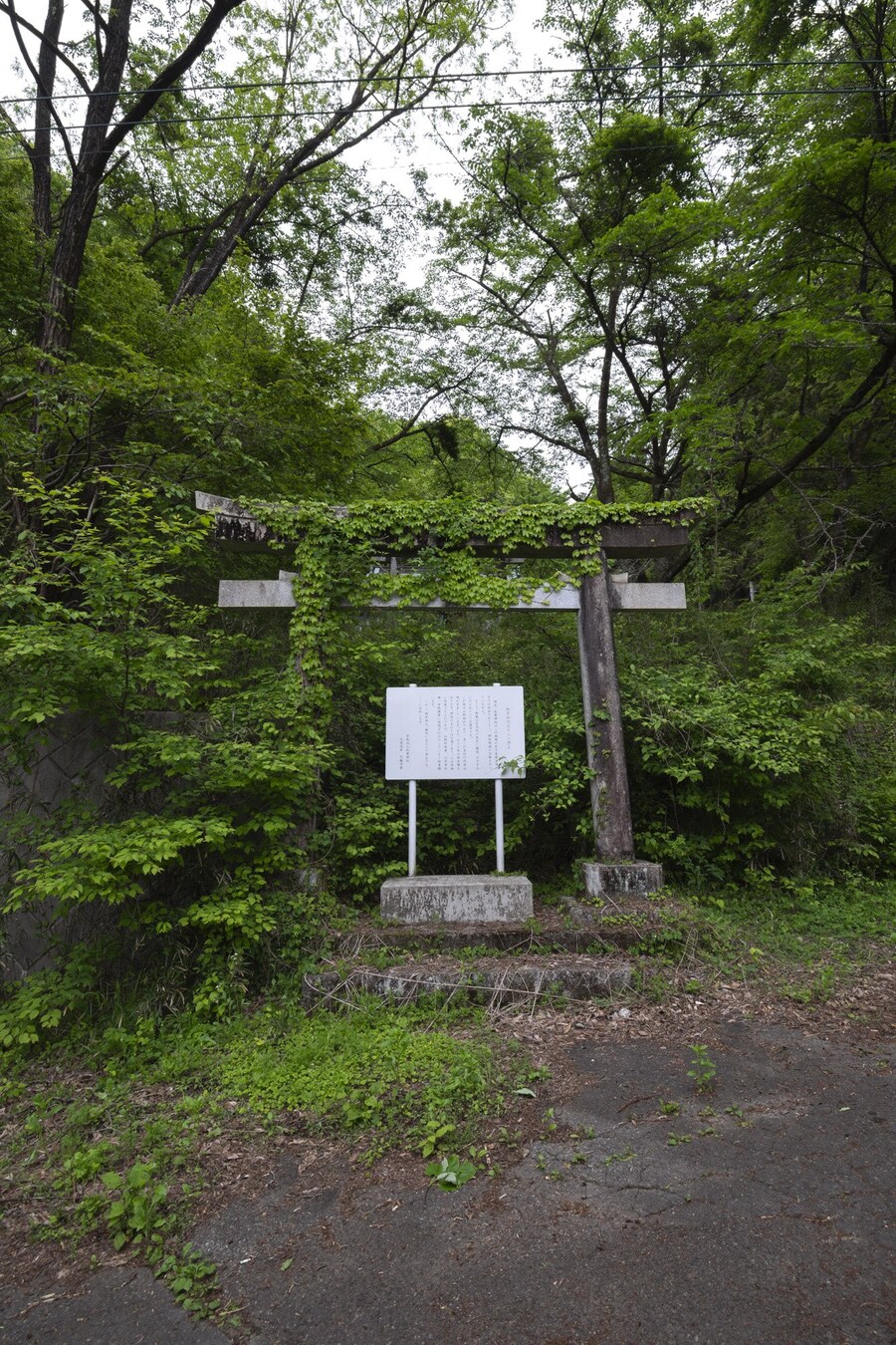 일본의 기묘한 풍경.jpg_6.jpg