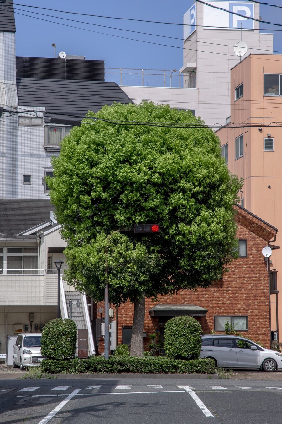 일본의 기묘한 풍경.jpg_23.jpg