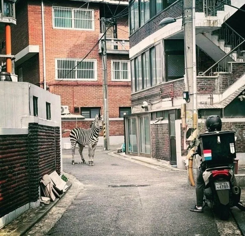 물리엔진이 이상할 때_1.webp