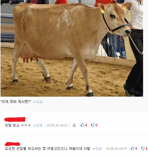 ㅇㅇㄱ) 중요한 건 분탕이 아니야_1.png