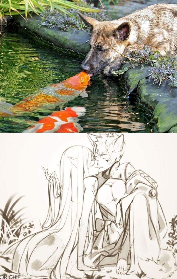 어류와 포유류의 사랑_1.jpg