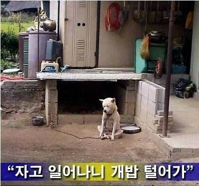 ㅇㅇㄱ 아님) 왜 내가 보는 인방인들은 다 떠날까..._1.jpg