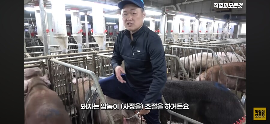 한돈) 유익한 정보_1.png