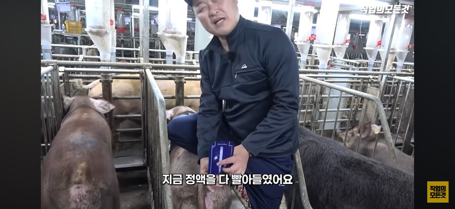 한돈) 유익한 정보_6.png