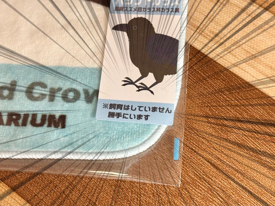 일본의 한 수족관 기념품ㅋㅋ_2.jpg