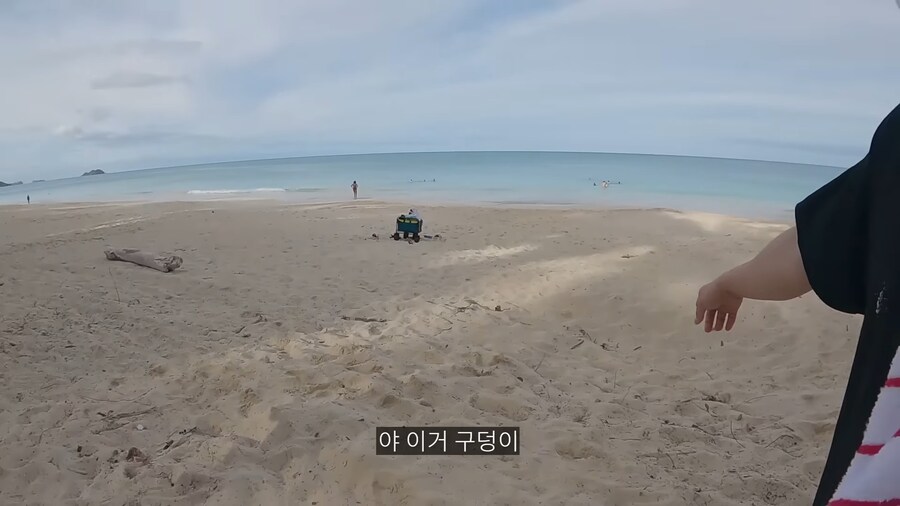 하와이 퓨전 고사_1.png