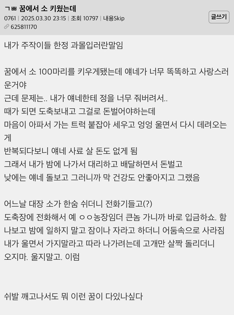 꿈에서 소 키웠는데.jpg_1.jpg