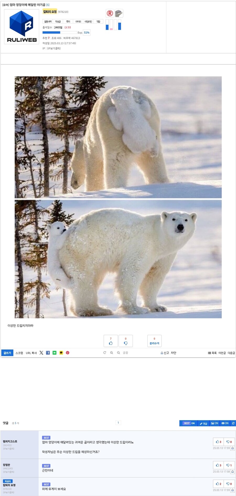 엄마 엉덩이에 매달린 아기곰._1.jpg
