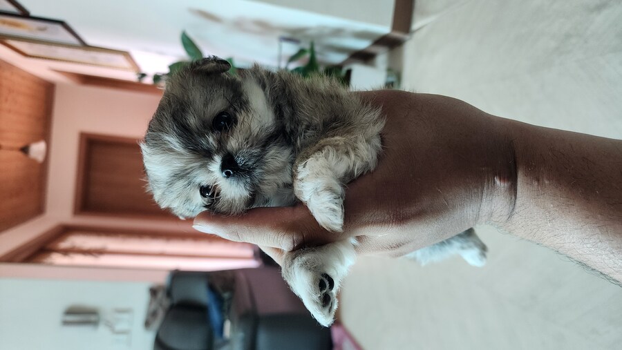 우리집 막내 근황_3.jpg