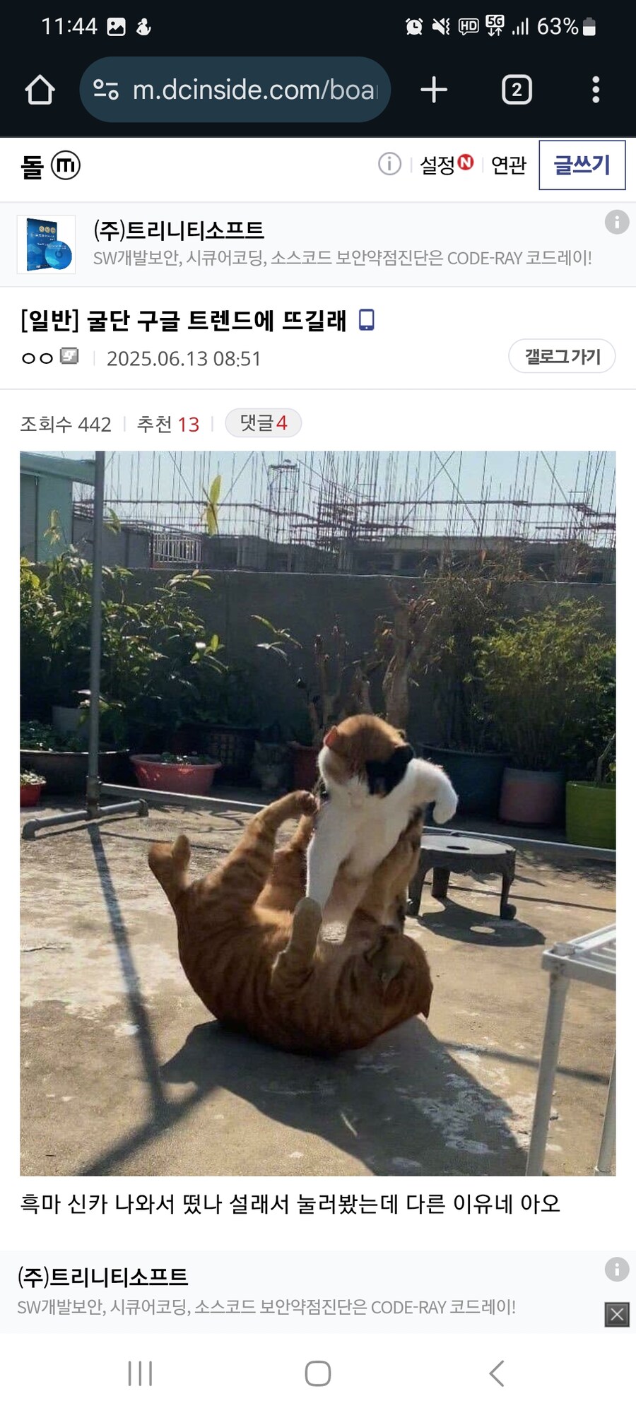 ㅇㅇㄱ) 신상드립으로 내상을 입은 의외의 피해자들_1.jpg