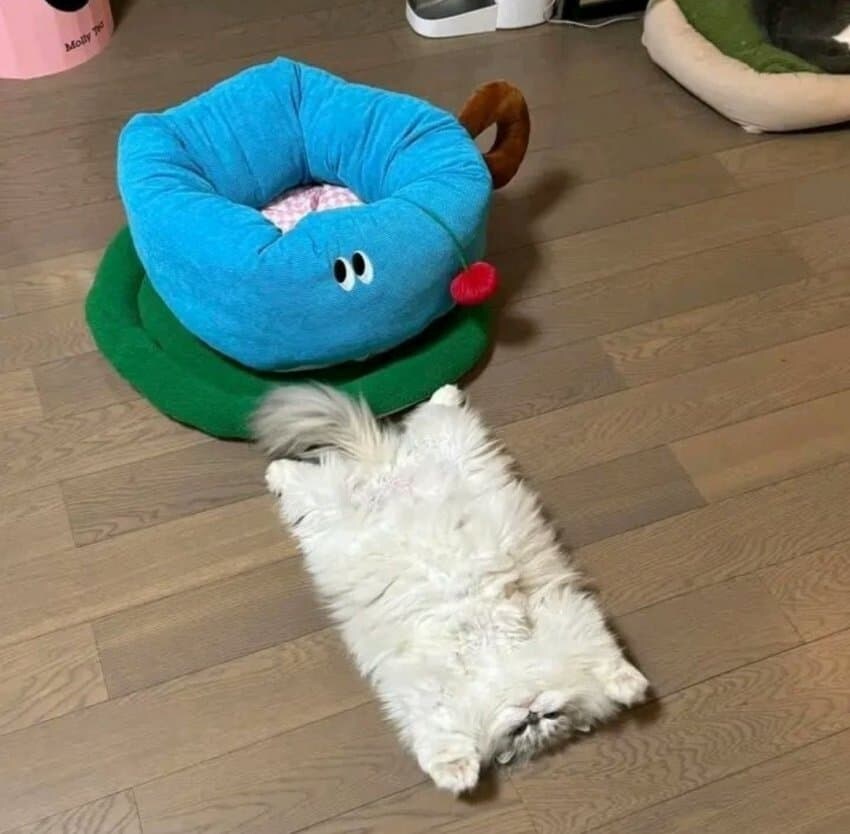 나는 괴물 유게이다_1.jpg