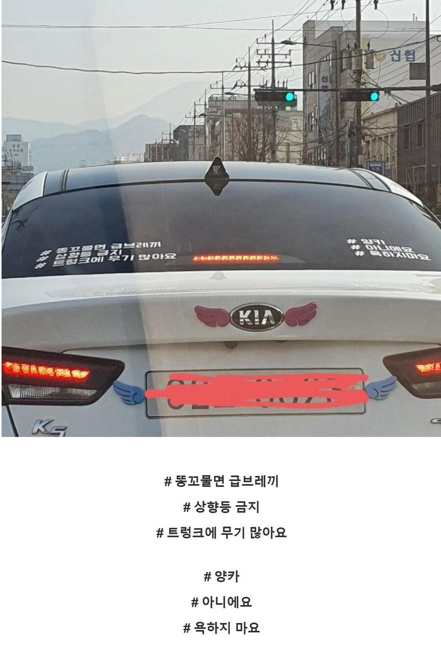 가짜 광기 진짜 광기_1.jpg