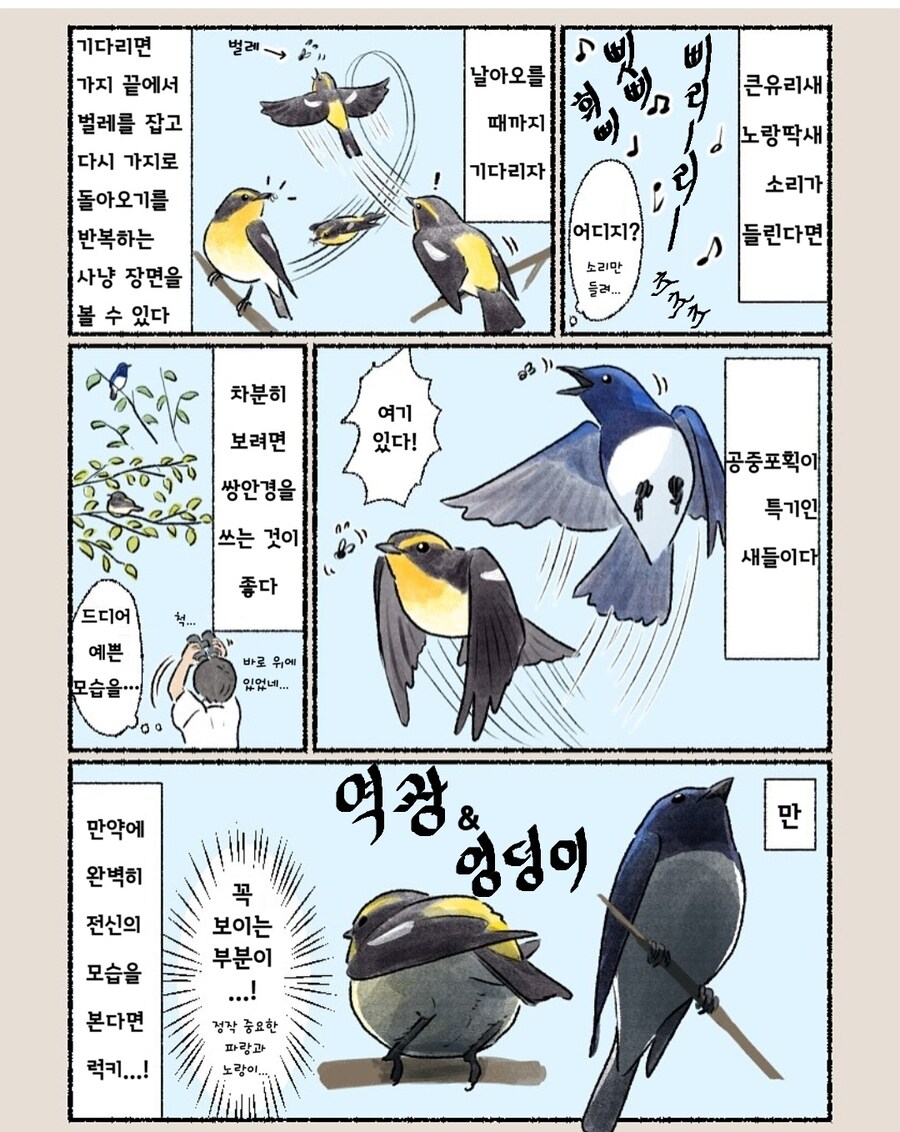 번역) 공원에서 큰유리새&노랑딱새_2.jpg