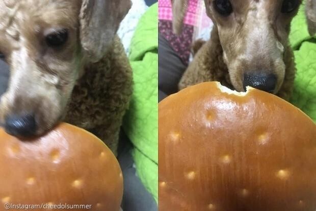 유민상의 한입만ㅋㅋㅋ_1.jpg