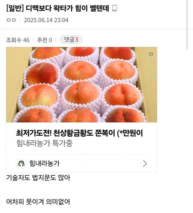 ㅇㅇㄱ)??? : 디맥보다 왁타가 힘쎌텐데_1.jpg