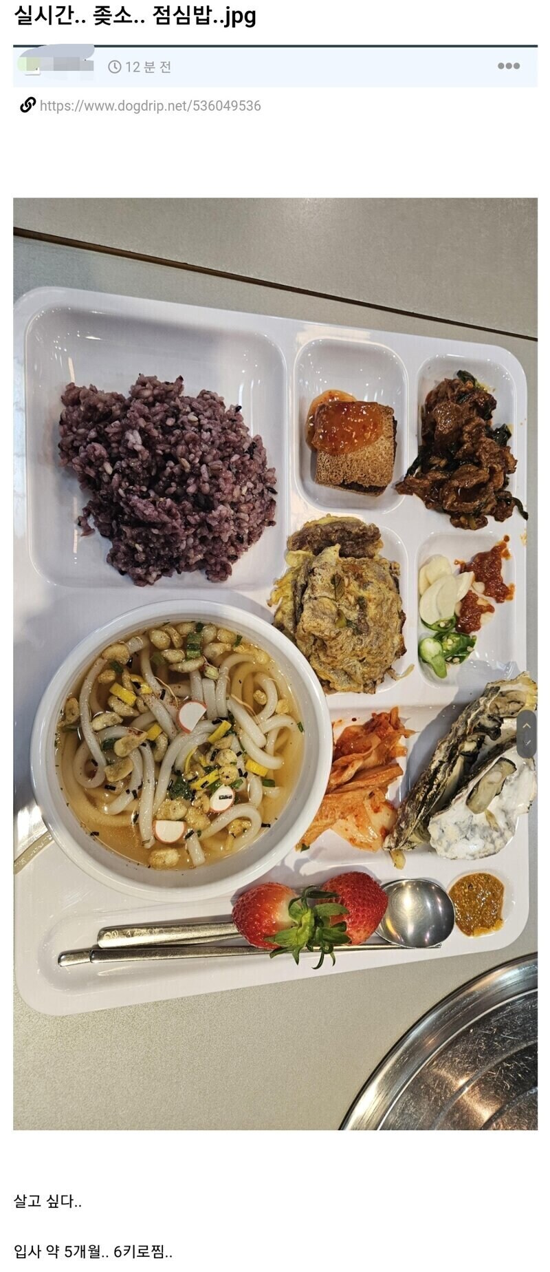 살찌는 중소기업.jpg_1.jpg