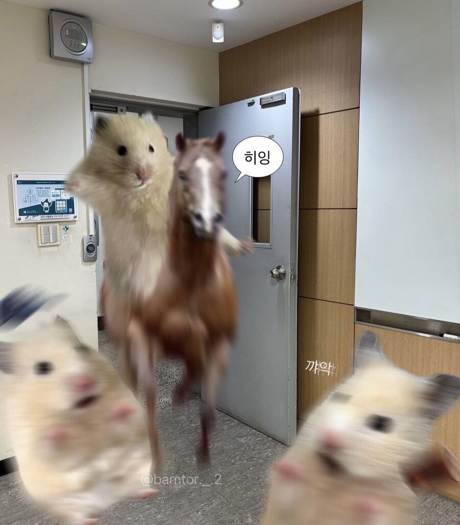 너 요즘 뒤에 말나온다_2.jpg