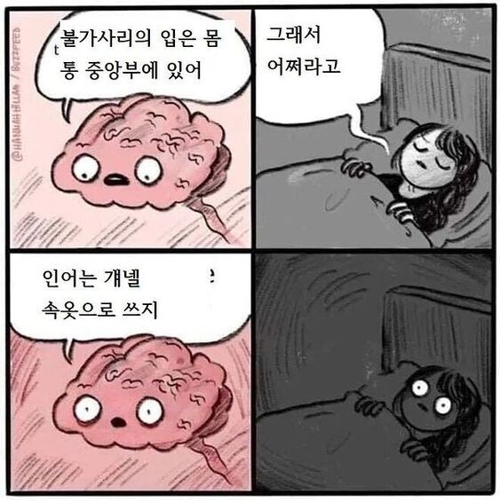 ?? : 불가사리의 입은 가운데 잇대_1.jpg