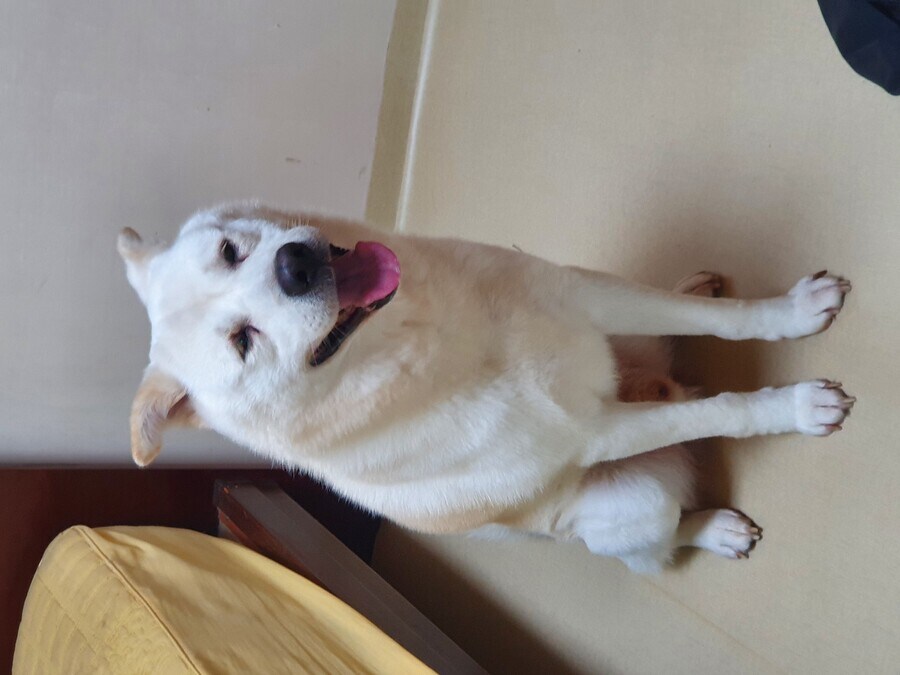 작성자 특_1.jpg