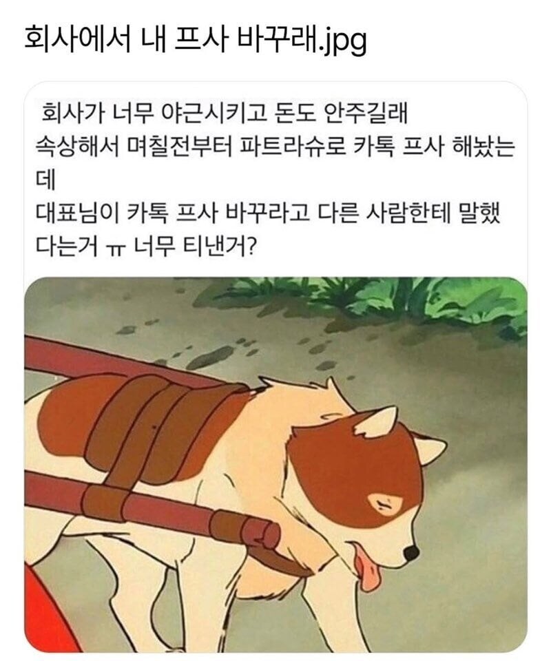 회사에서 내 프사 바꾸래.jpg_1.jpg