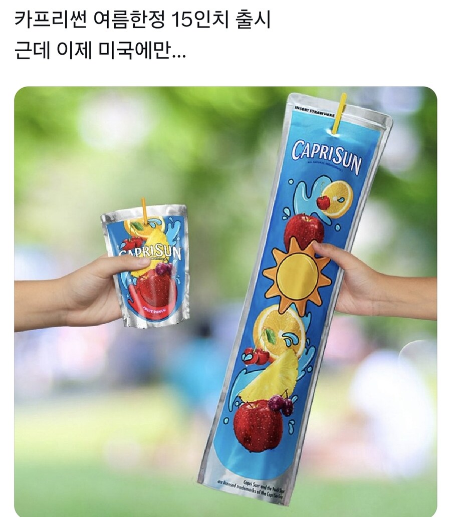 카프리썬 여름한정 15인치 출시_2.jpg