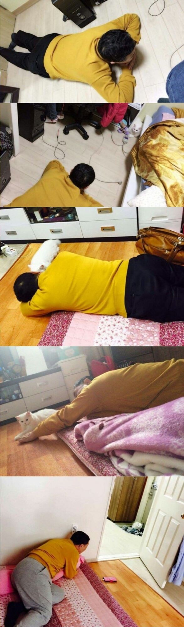 고양이 가져 오면 버릴 테니깐 그렇게 알아!!!!!_1.jpg