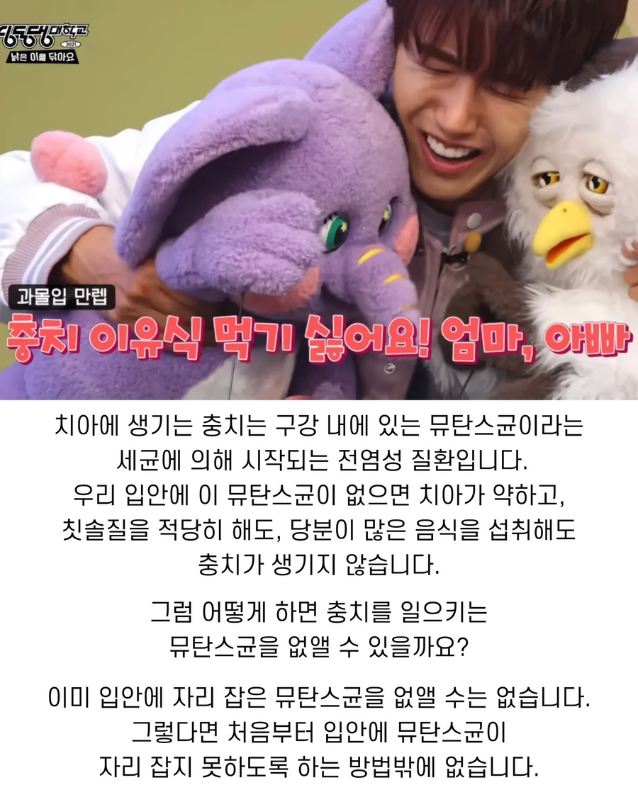 과학적으로 평생 충치가 생기지 않는 유일한 방법_4.webp