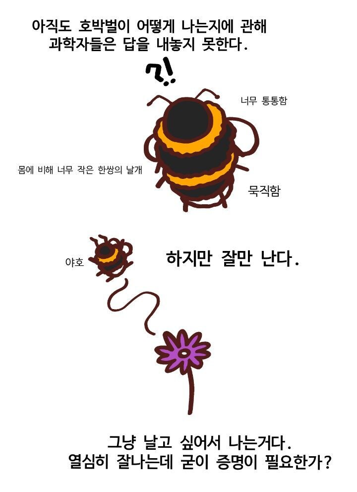 호박벌이 어떻게 나는지 과학자도 모른다_1.jpg