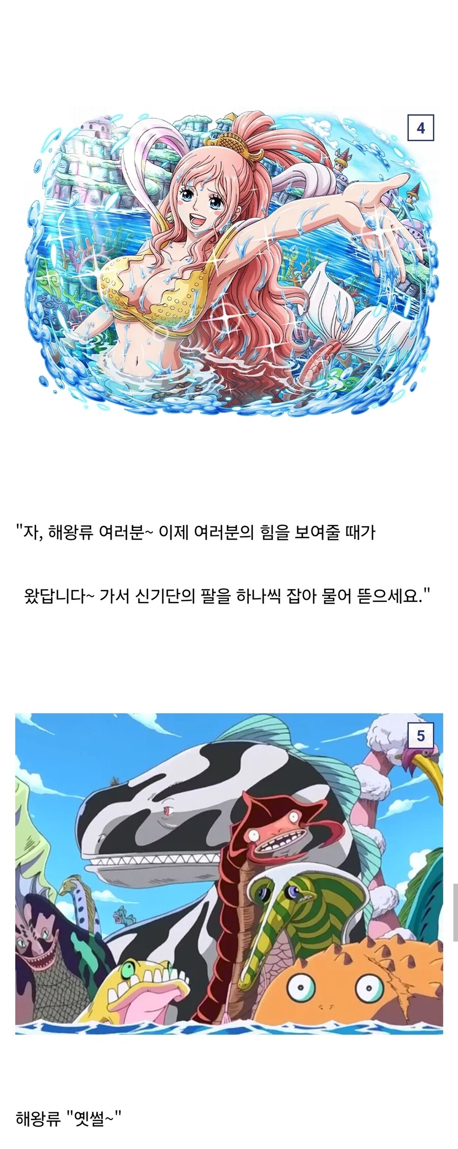 원피스 시라호시가 고대병기인 이유_1.jpg