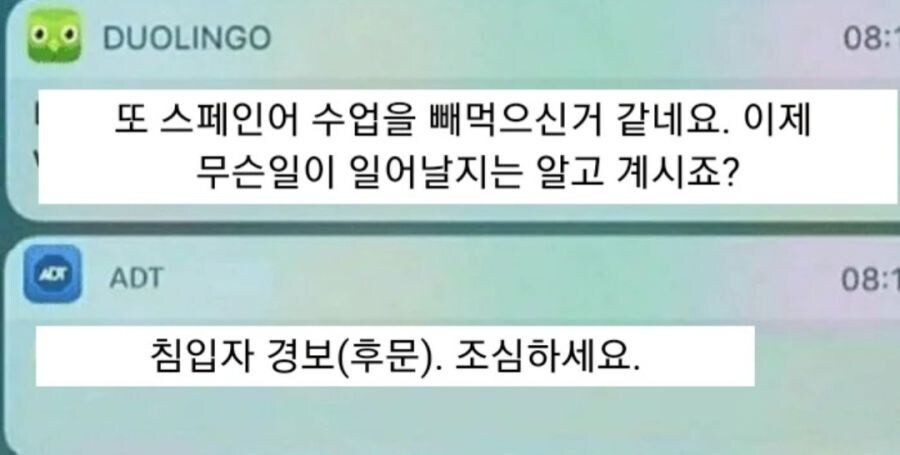 듀오링고는 뭐든 다 알고있었다._2.jpg