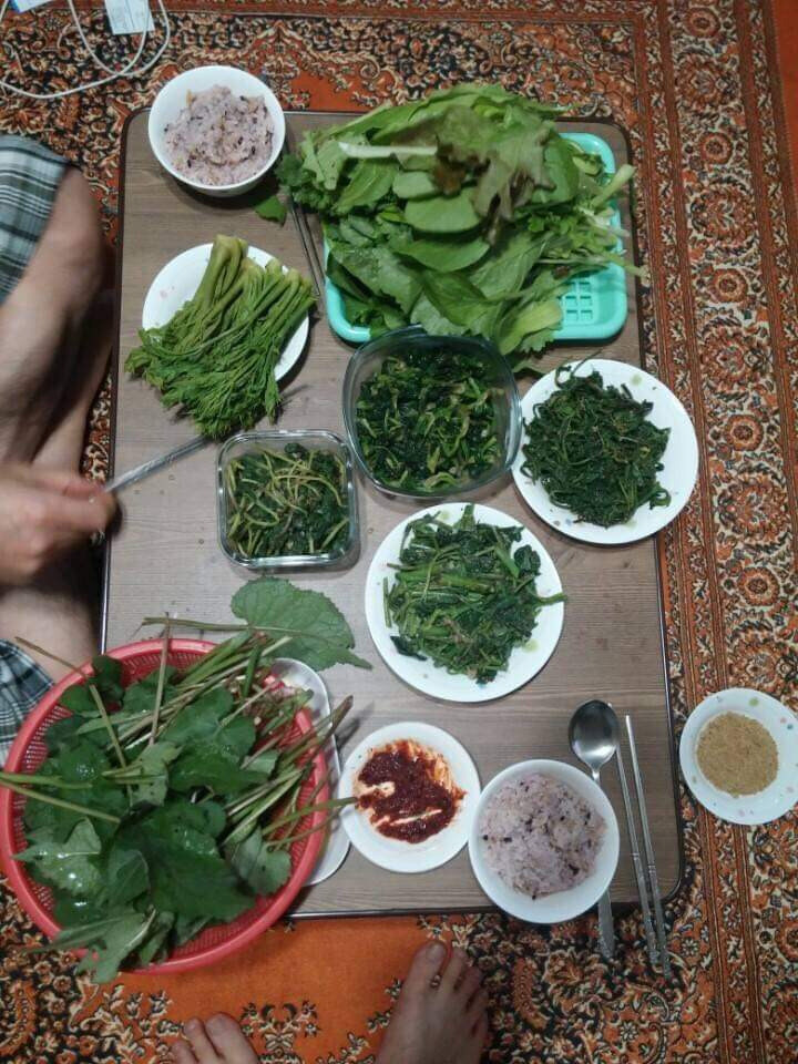 밥상에 풀 밖에 없다는 예시_1.jpg