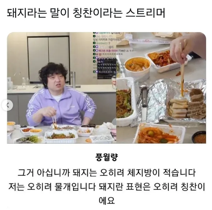 돼지란 말이 칭찬이라는 스트리머_1.webp