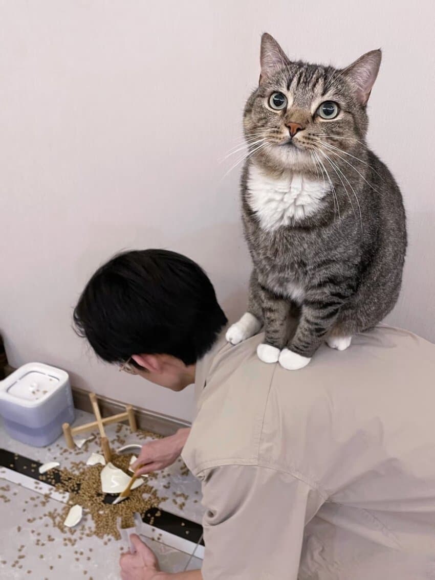 인간을 지배한 동물_1.jpg