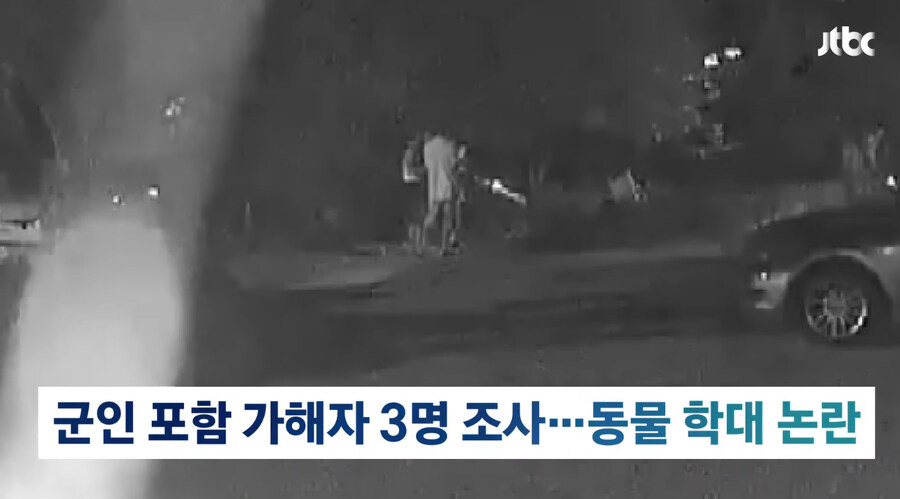 개에게 비비탄 수천발 쏴 죽인 군인_5.jpg