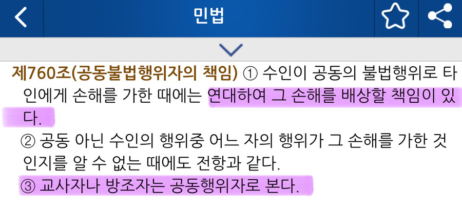 둘이서 법을 위반하면 누가 갚아야 될까?_1.jpg