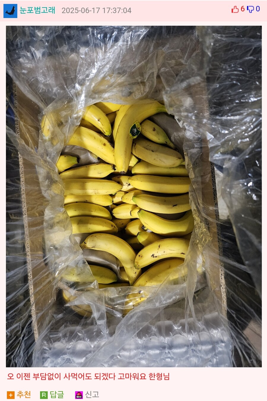 바나나 좋아해서 사먹음.jpg_2.jpg