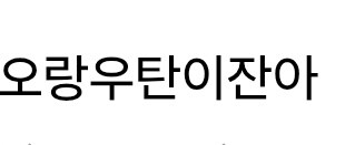 유게피셜 안꼴리는 여캐 셋 (재평가)_6.jpg