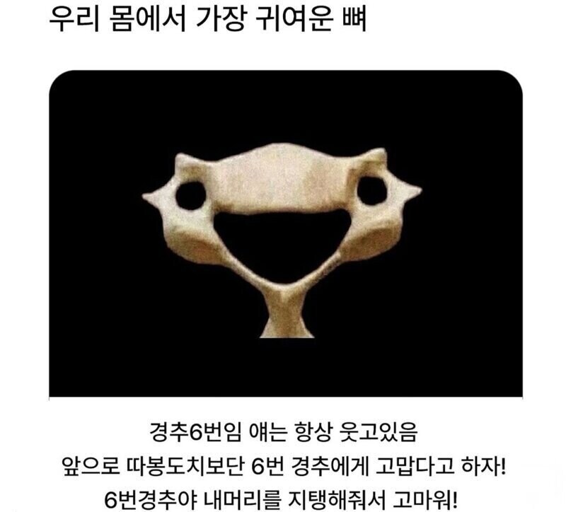 우리몸에서 가장 귀엽다고 하는 뼈_1.jpg