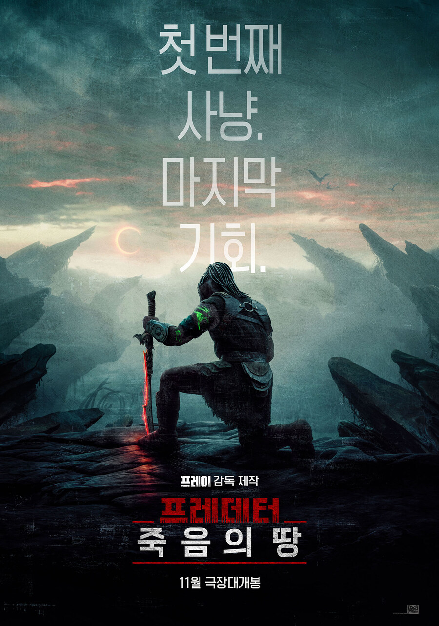 디.앤.엠 이미지