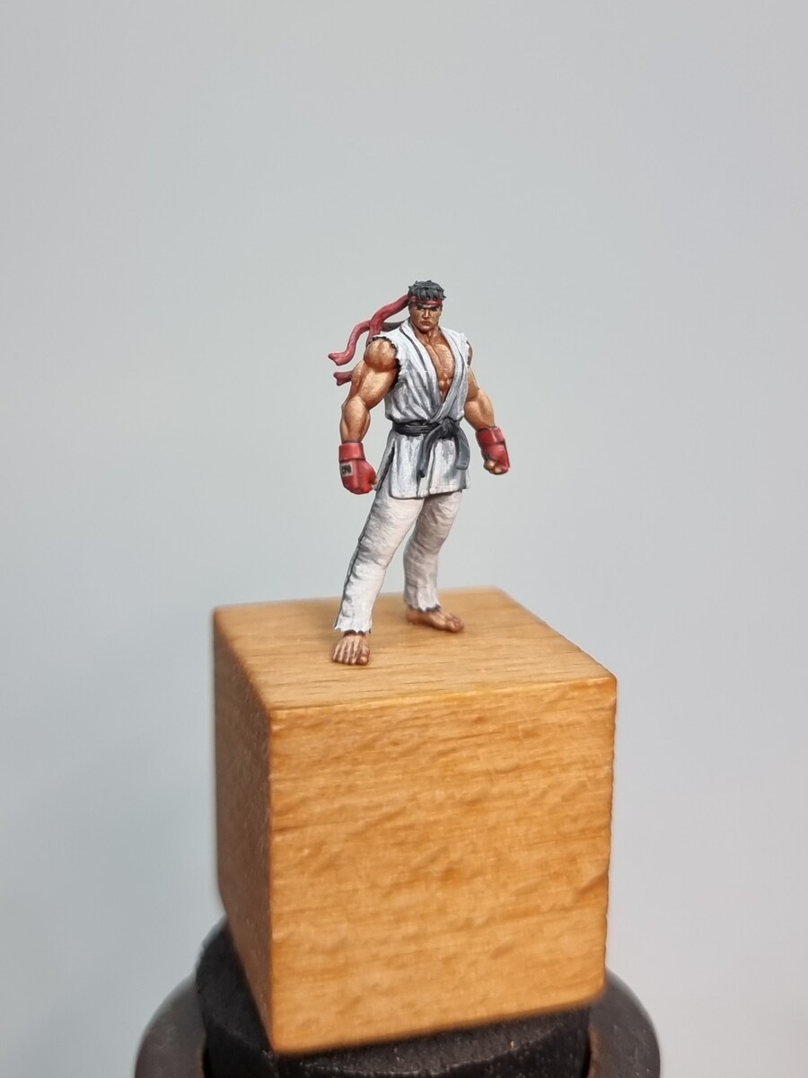 [도색완성] 스트리트 파이터_1.jpg