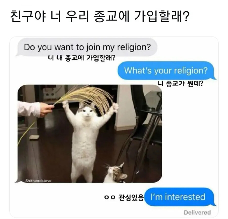 우리 종교에 가입할래?_1.jpg