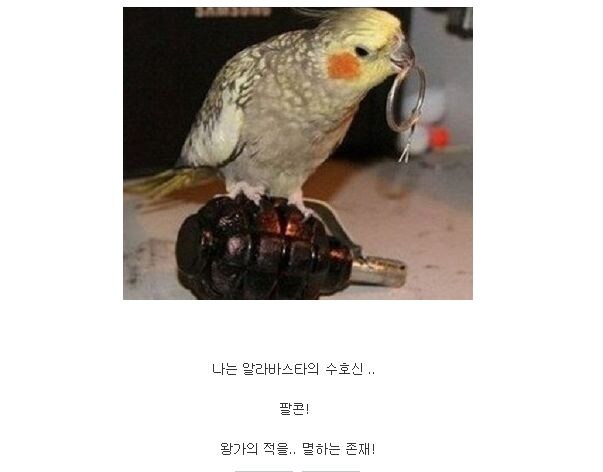 다시보는 원피스 리즈시절.jpg_7.jpg