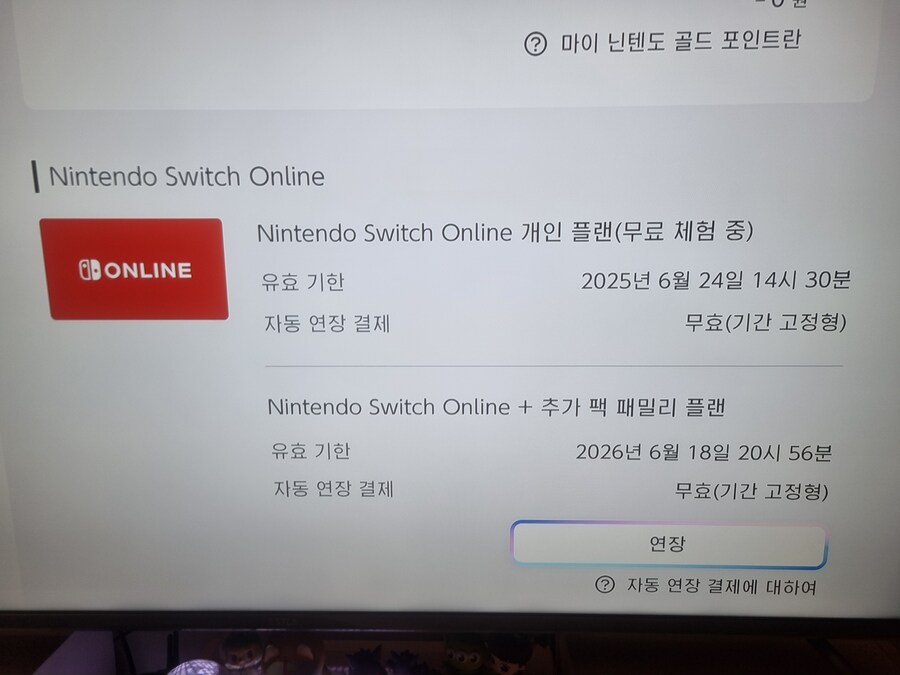 닌텐도 온라인 추가팩 모집(마감)_1.jpg