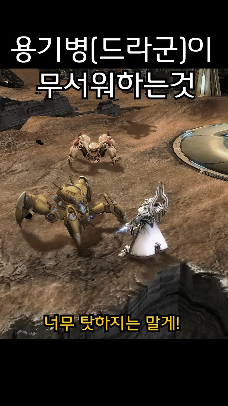 스타크래프트 1 용기병 인공지능이 개븅신였던 이유_4.png