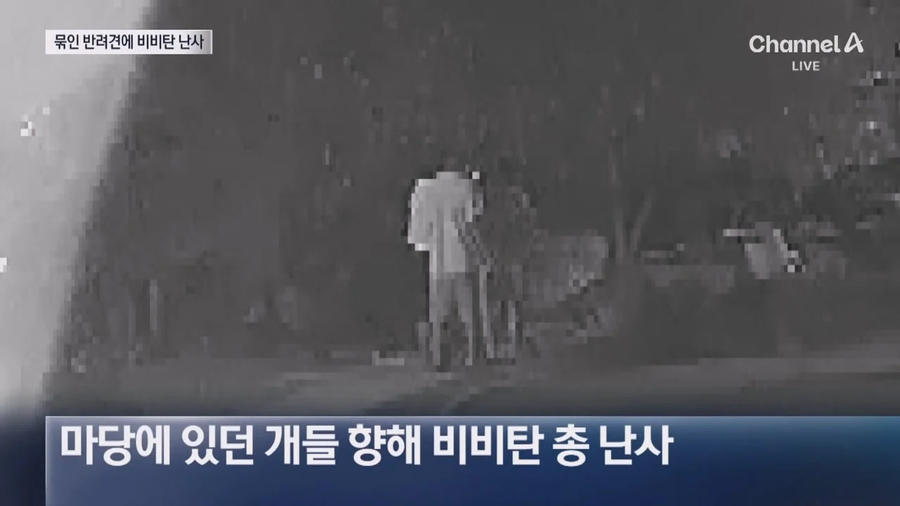 해병대등 20대남성 식당 앞 묶여있는 개들향해 비비탄 수천발 발싸.jpe_6.webp