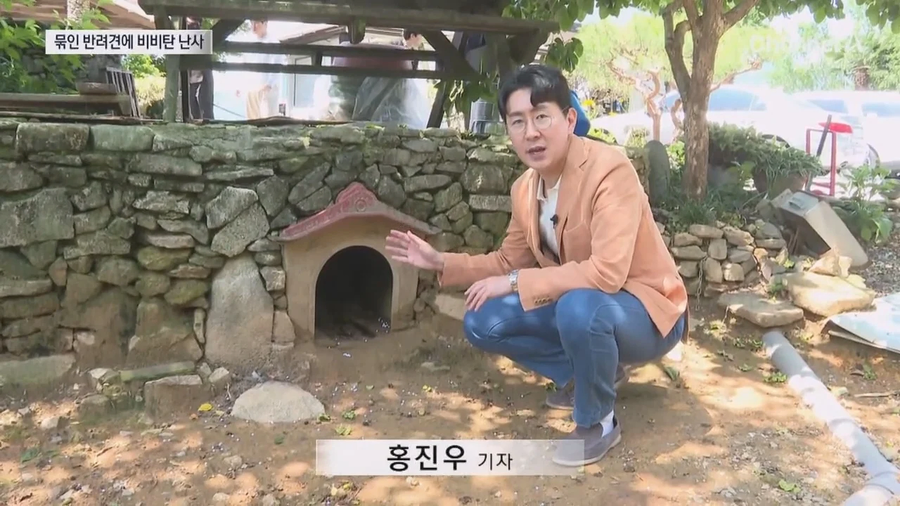 해병대등 20대남성 식당 앞 묶여있는 개들향해 비비탄 수천발 발싸.jpe_10.webp