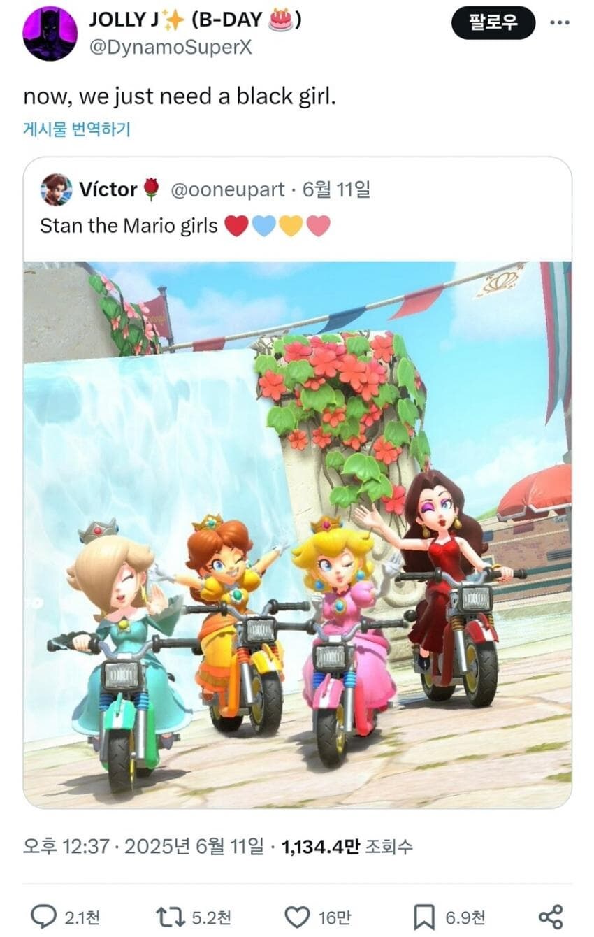 닌텐도)겜에서 흑공주 찾던 pc들을 위한 완벽한 pc 여캐_1.jpg