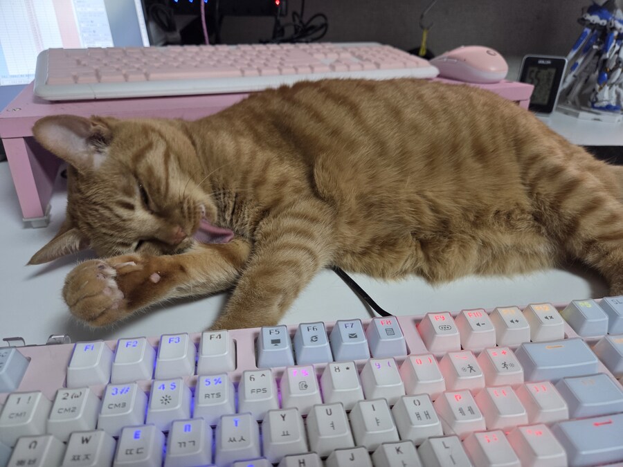 요망한것_4.jpg
