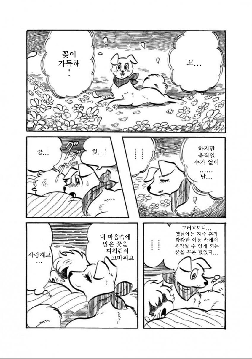 이거보고 댕댕이한테 잘해주기로함2화_12.jpg