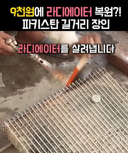 지구가 멸망했을 때 다시 문명을 세울 사람들은_1.png